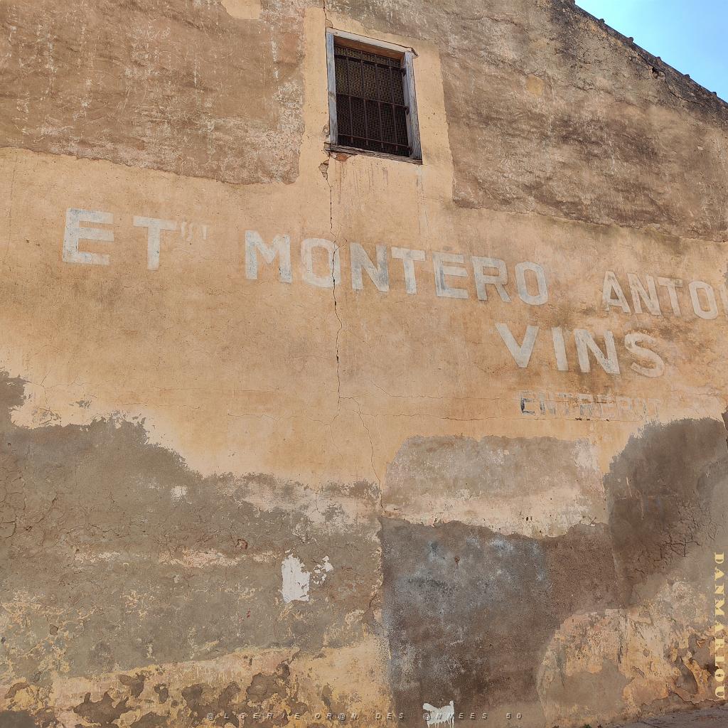 VOYAGE 20230928_144317 RIO SALADO MONTERO ANTOINE CAVE VIN.jpg